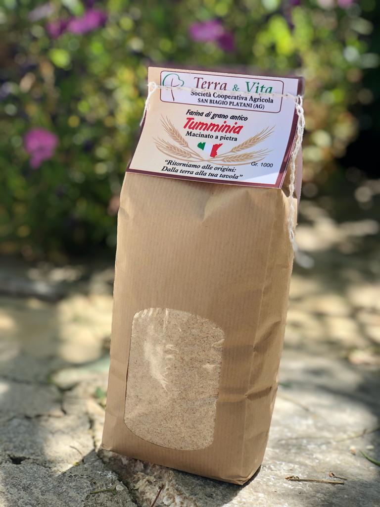 Farina di grano antico – Tumminia