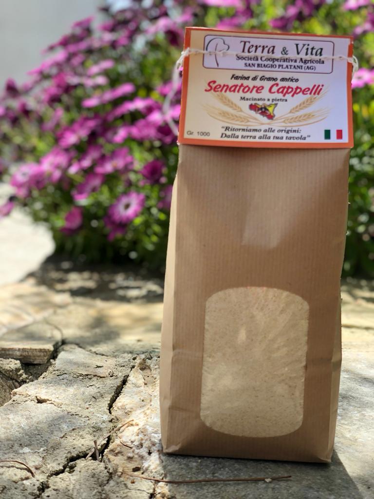 Farina di grano antico – Senatore cappelli